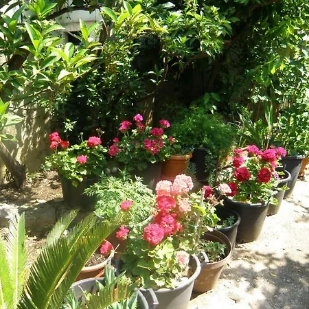 Solitudo アパート *