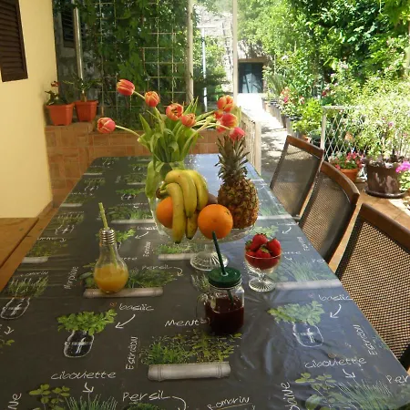 Solitudo * ドゥブロブニク