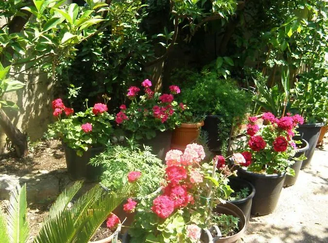 Solitudo Apartment *