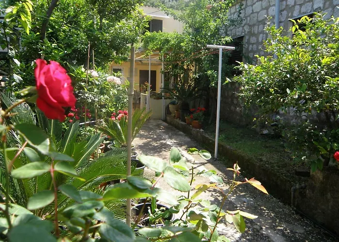Solitudo Dubrovnik